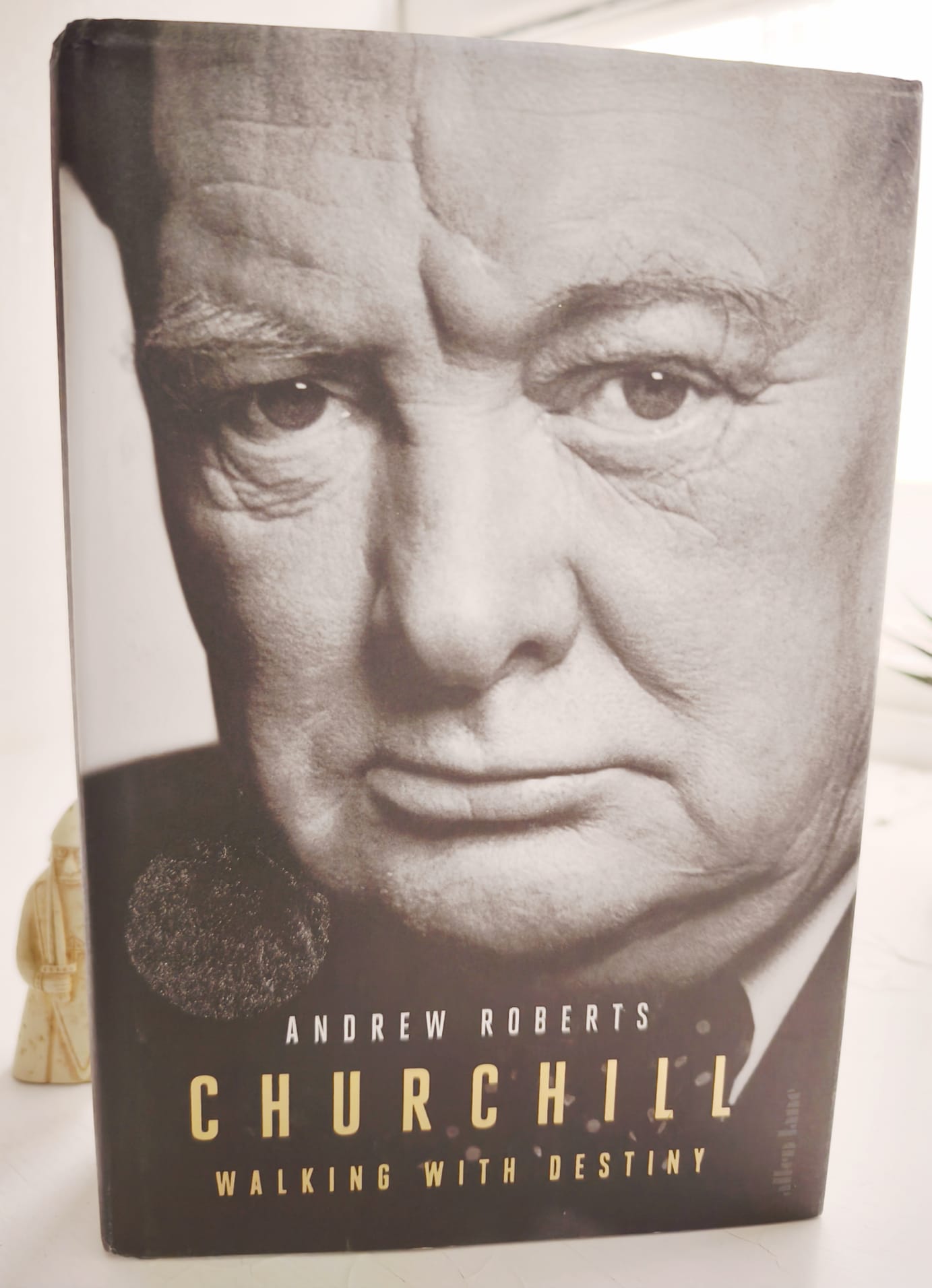 Churchill: Walking with Destiny SIGNED