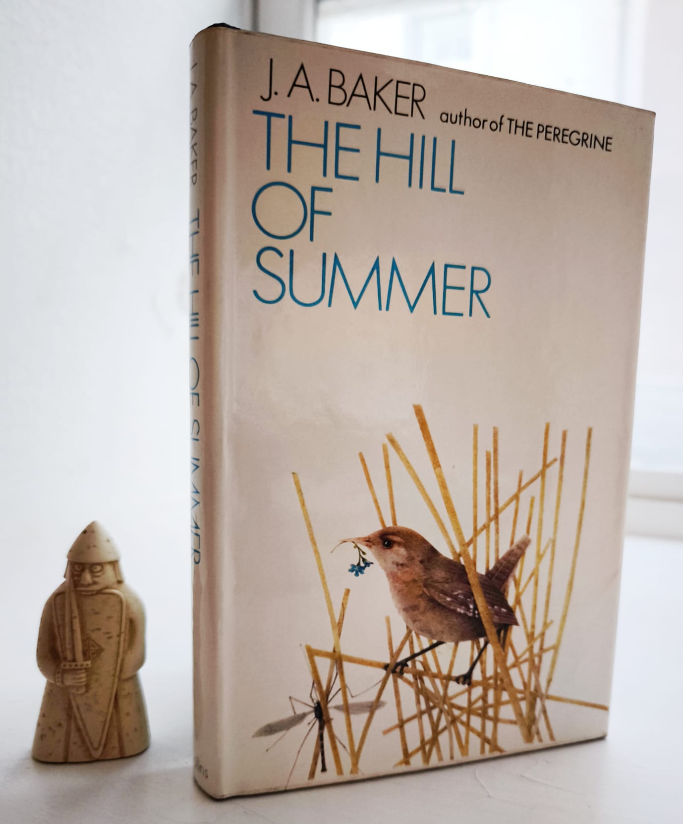 The Hill Of Summer FIRST EDITION