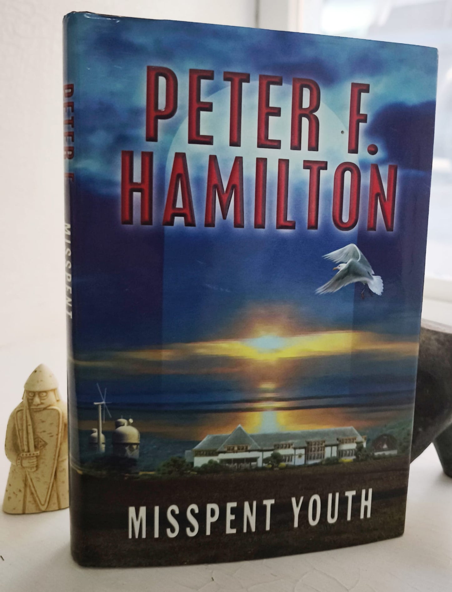 Misspent Youth FIRST EDITION